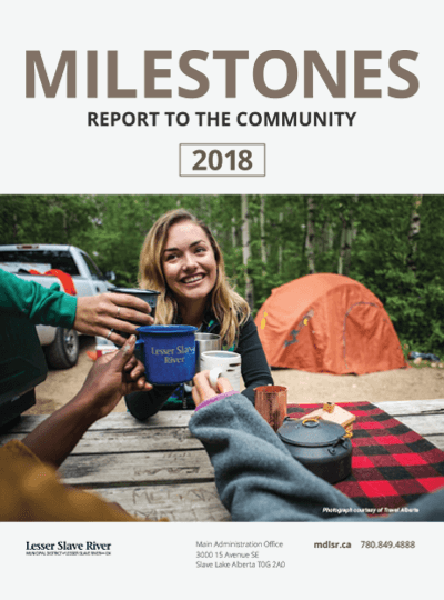 Milestones Report to the Community 2018